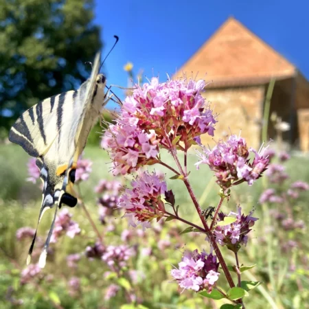 À lire, à voir, à écouter channel thumbnail
