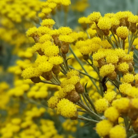 Carnet olfactif channel thumbnail